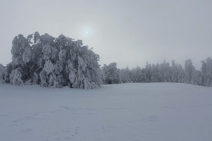 Sortie en raquettes à neige près de Laguiole 