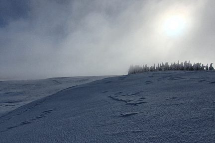 Le soleil perce à travers le brouillard