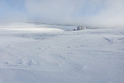 Au loin un buron enneigé et les bois en direction de St Urcize