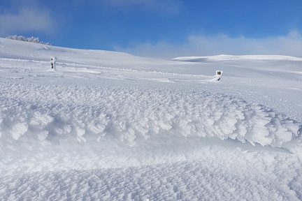 Ce matin en randonnée raquettes à neige sur Aubrac