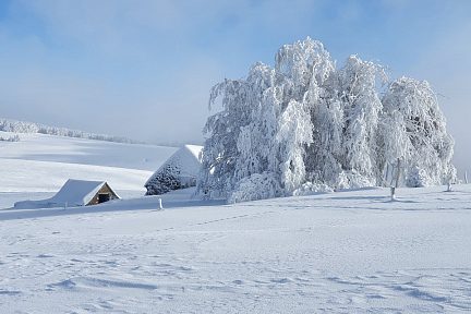 Buron isolé sur le plateau de l'Aubrac 