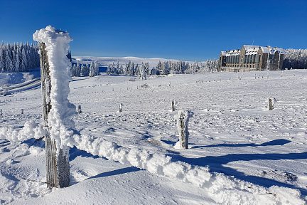 Paysage gelé et sapins enneigés à perte de vue