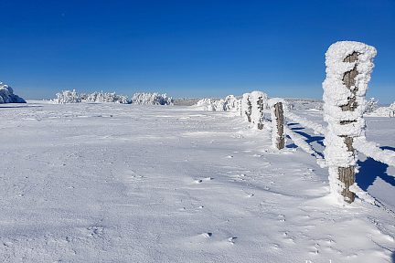 La draille de Germaine longe des clotures prises dans le gel et la neige