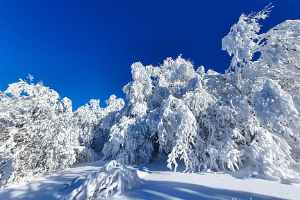Petite pause durant ma sortie en raquettes à neige dans le Massif Central