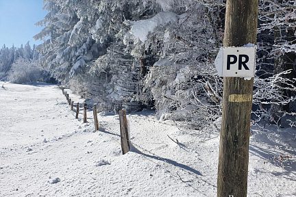 Je continue de suivre le balisage jaune pour terminer ma balade en raquettes à neige 