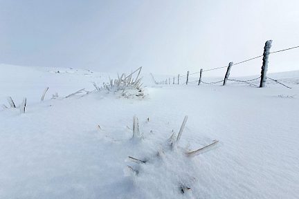 Raquettes à neige dans le PNR Aubrac en direction du Puech Cremat Bas