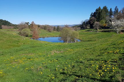 Paysage bucolique de printemps le long de notre randonnée 