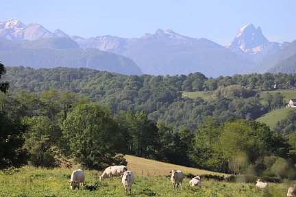 Aux environs de Rébénacq