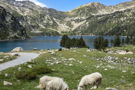 Lac d'Aubert, dans la réserve naturelle du Néouvielle