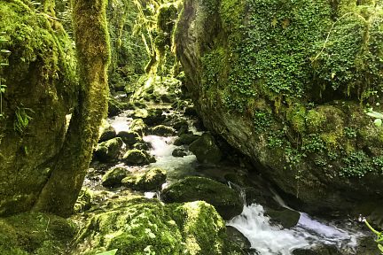 Gourgue d'Asque, Petite Amazonie des Pyrénées, vue 3