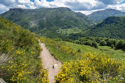 Non loin du lac d'Estaens, en juin, vue 2