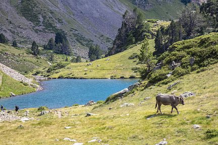 Lac de Bastan inférieur en août