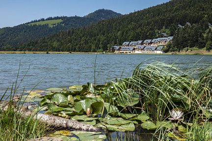 Lac de Payolle en juillet, vue 1