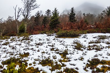 Lac d'Isaby en novembre, vue 3
