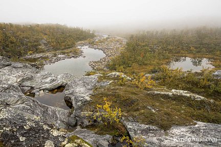 Brouillard en Laponie