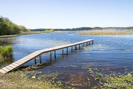 Circuit de l'étang d'Aureilhan Actualité : Circuit de l'étang d'Aureilhan