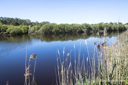 Grand circuit de la Maillouèyre depuis Mimizan Plage Actualité : Grand circuit de la Maillouèyre depuis Mimizan Plage