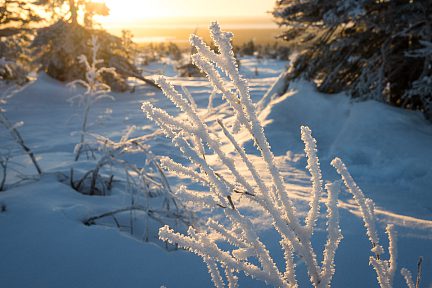 Même en pleine journée le froid est glaçant