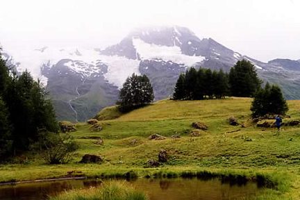 Mont Pourri et ses glaciers