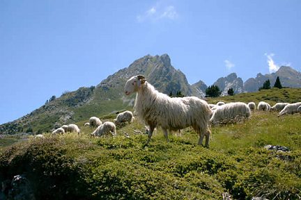SUR LA ROUTE DU LAC