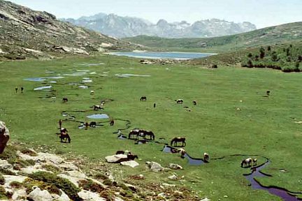 le lac de nino