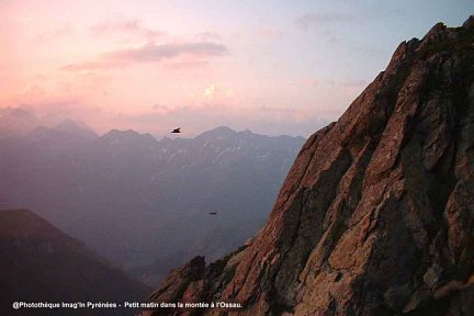 Pic du Midi d'Ossau à l'aube