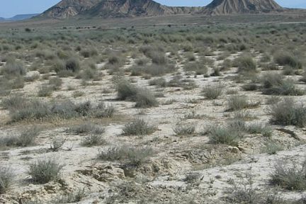 Paysage désertique des Bardenas