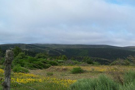 sommet du mont Lozere dans la brume