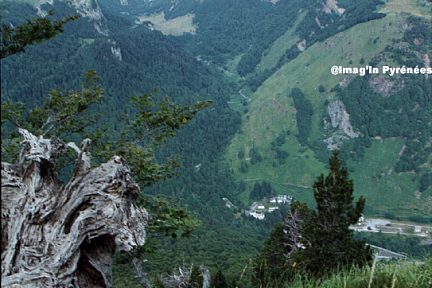 Pic du Gabedaille et vallon d'Espélunguère
