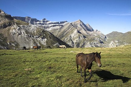 Chevaux, refuge des Espuguettes et cirque de Gavarnie