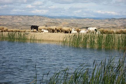 Il y a aussi de l'eau dans le désert des Bardenas