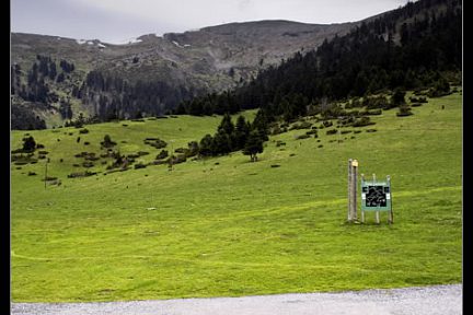 Route au départ du Signal de Bassia