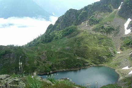 Asphodèles au-dessus du lac d'Er