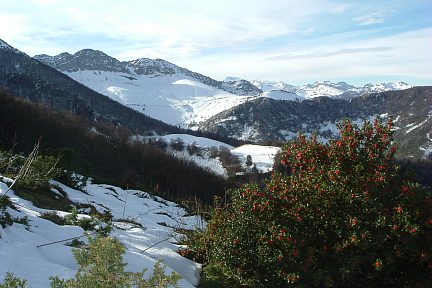Houx et pic du Moulle de Jaüt