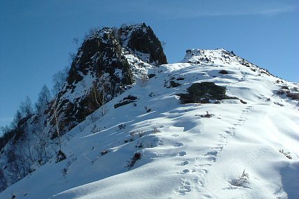 Traces d'animaux sur la crête ouest enneigée du pic de Pan