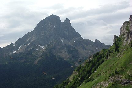 Vautours et pic du Midi d'Ossau en montant vers le pic d'Aule