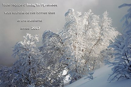 Fêtes de fin d'année