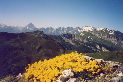 Lauriolle (1858 m) : vue sur le Midi d'Ossau et Sesques