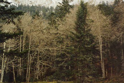 Étang d'Ourbiette (1386 m) et le pic Bacqué