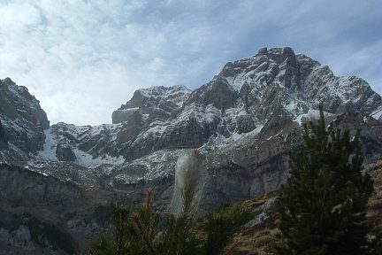 Toile d'araignée sur pin, fond de Pena Telera