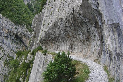 On marche sur le chemin de la mature