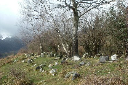 Une partie du site des cromlechs de Lous Couraus