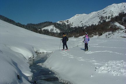 L'Arriou Tort, ruisseau du plateau de la Técouère