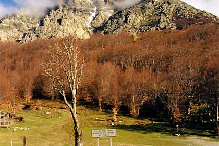 Col de Vizzavona