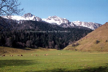 Au plateau de la Técouère