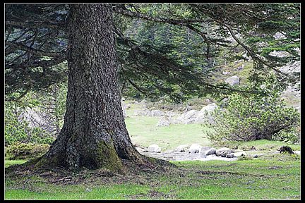 Propice à la sieste
