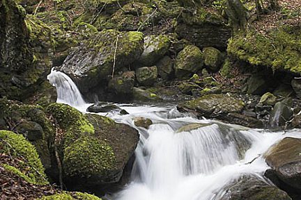 Cascade au gave de Cestrède