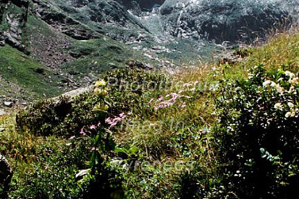 La Tusse de Montarqué vue depuis le lac d'Espingo