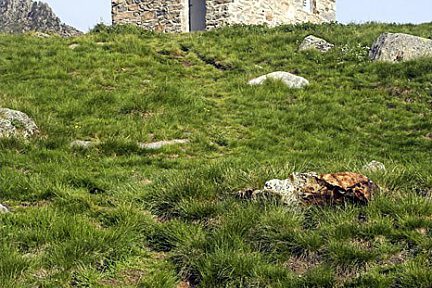 Cabane dets Coubous