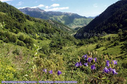 Vallon de Labrénère